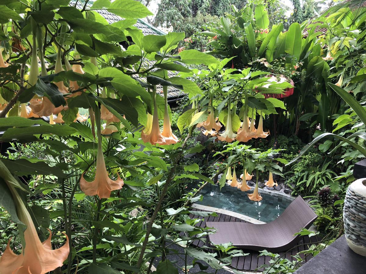 White Lotus Oasis Hotell Ubud Exteriör bild
